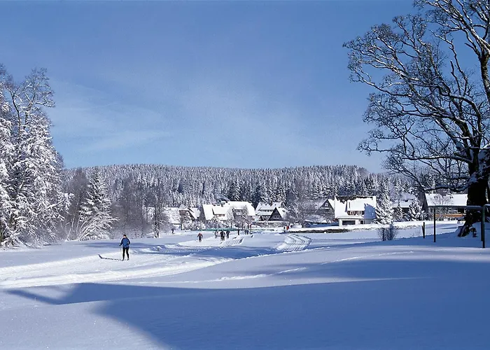 Drei Tannen - Wohnung 04 - Apartmenthaus, Titisee, Nahe Badeparadies