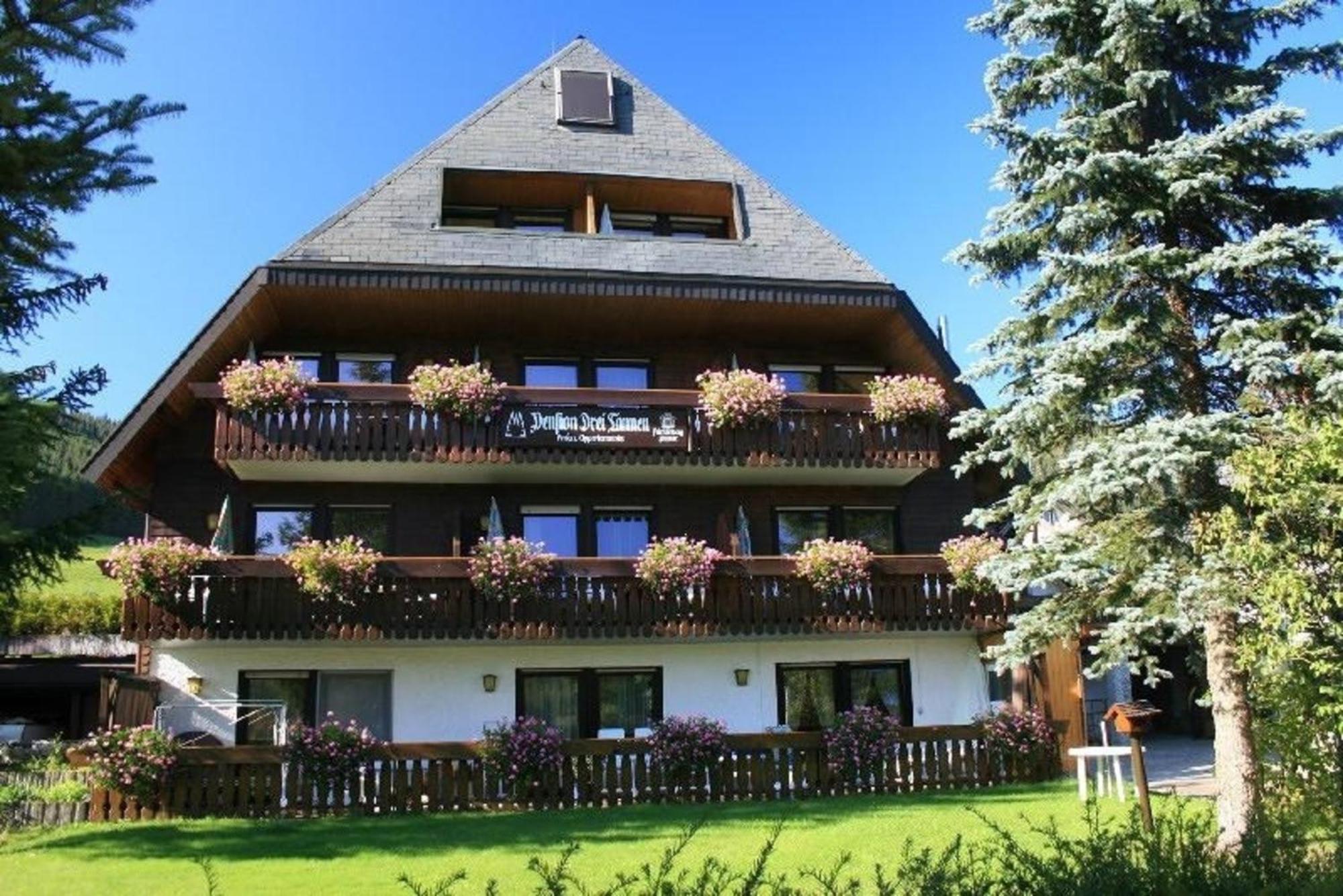 Drei Tannen - 04 - Apartmenthaus, Titisee, Nahe Badeparadies Apartment Titisee-Neustadt